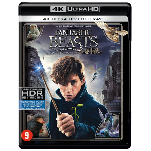 MOVIE - FANTASTIC BEASTS AND WHERE TO FIND THEM -4K ULTRA HD-FANTASTIC BEASTS AND WHERE TO FIND THEM -4K ULTRA HD-.jpg